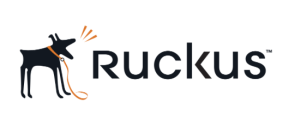 Jasa instalasi ruckus